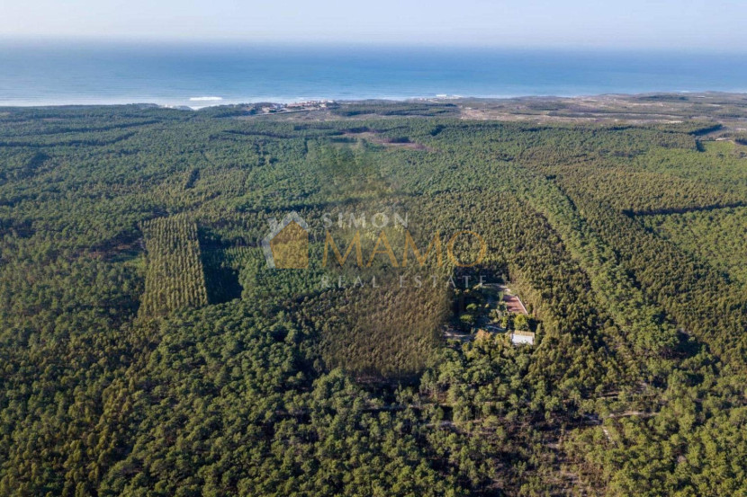Property for sale Land for sale in Portugal 5minutes walking from